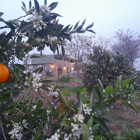 Hostal Entreolivos 바다호스 외부 사진